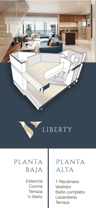 modelo-liberty